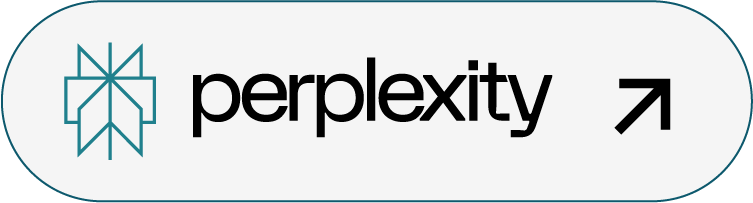 Perplexity
