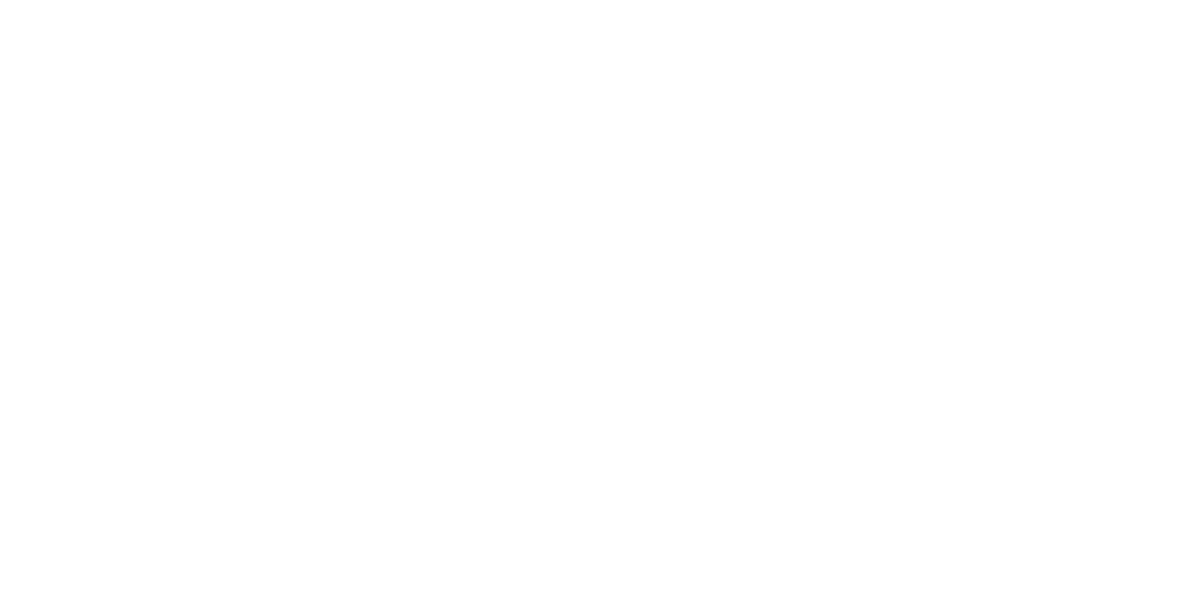 PlusPedia logo